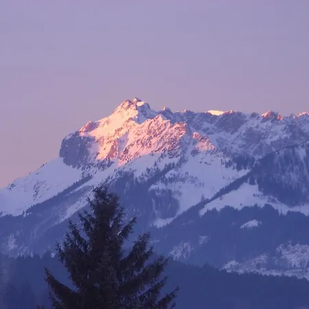 Resi & Obermoser 아파트 *